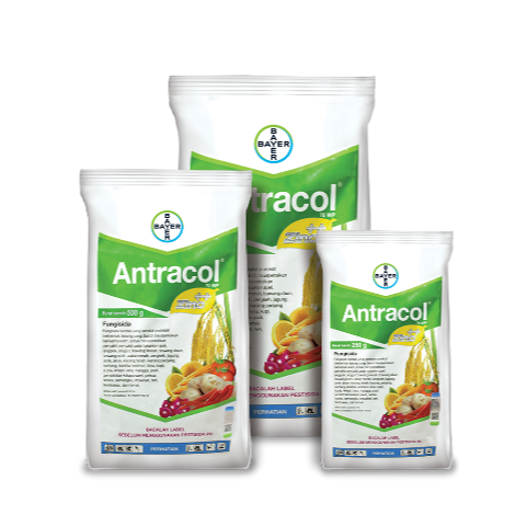 Antracol 1kg