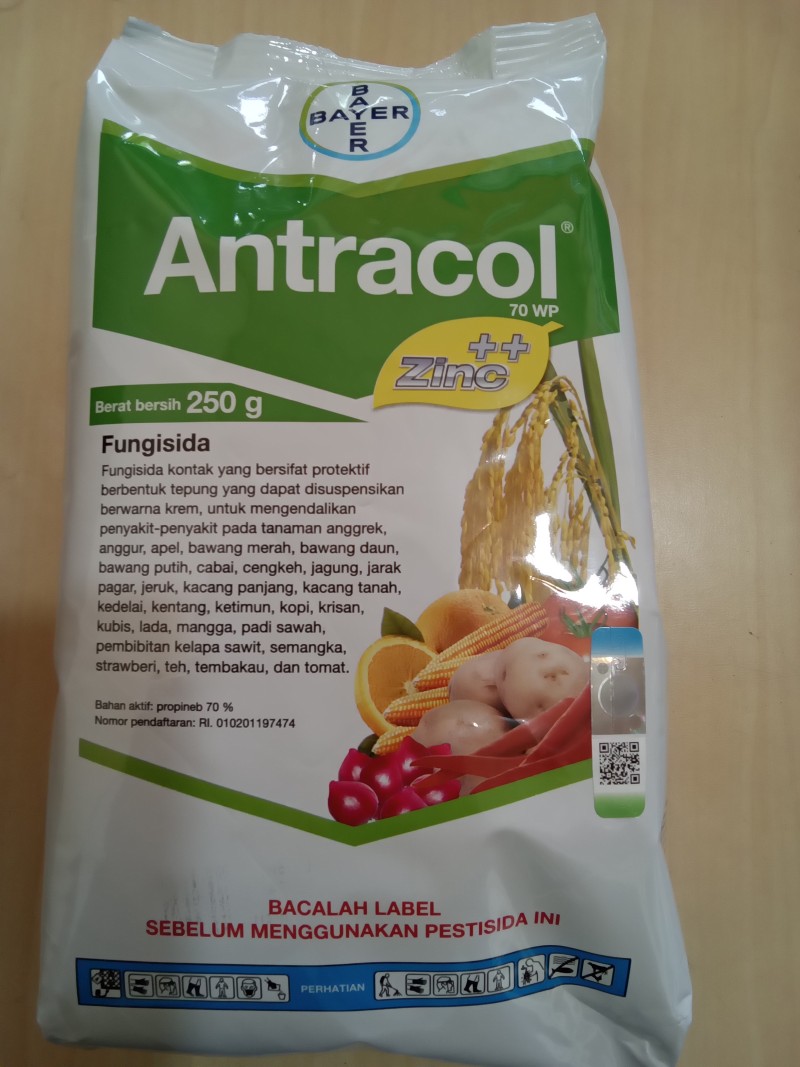 Antracol 70wp 250gr