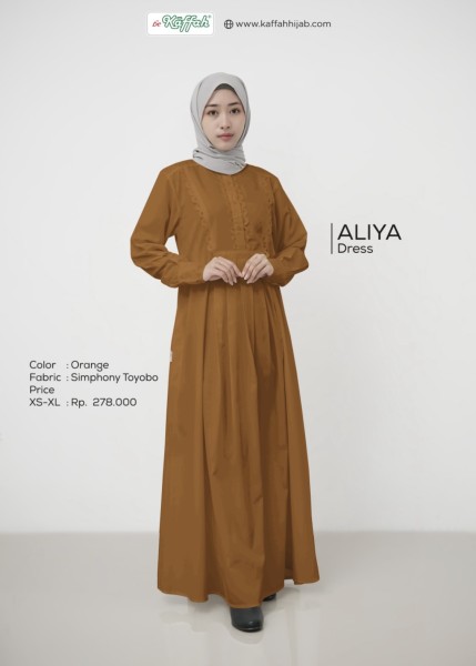 ALIYA DRESS