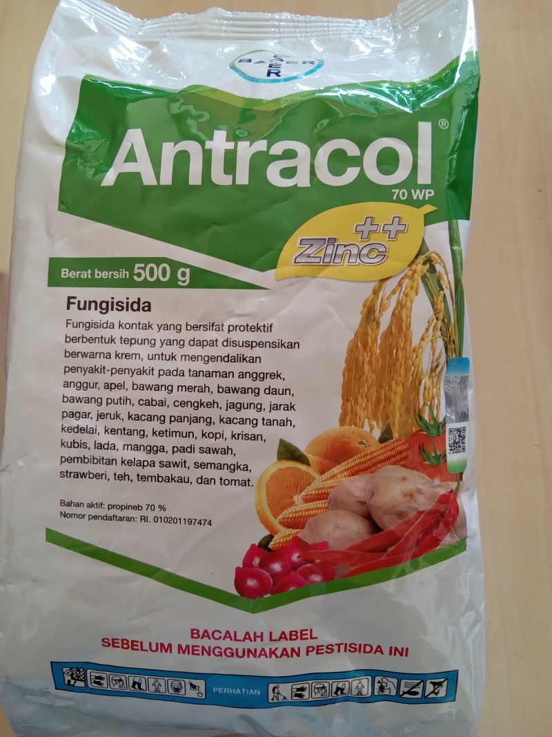 Antracol 70wp 500gr