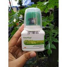 INSEKTISIDA PREVATHON