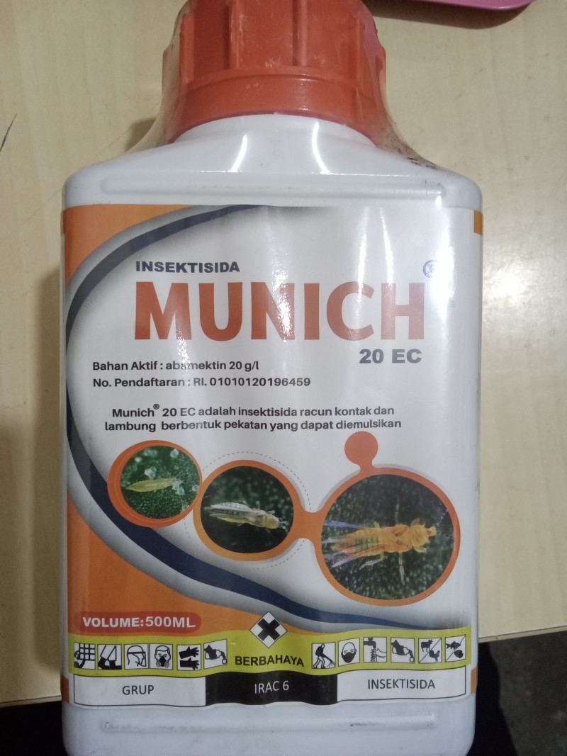Munich 20ec