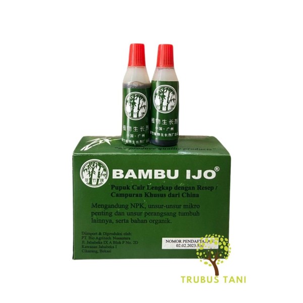Bambu Ijo Kecil