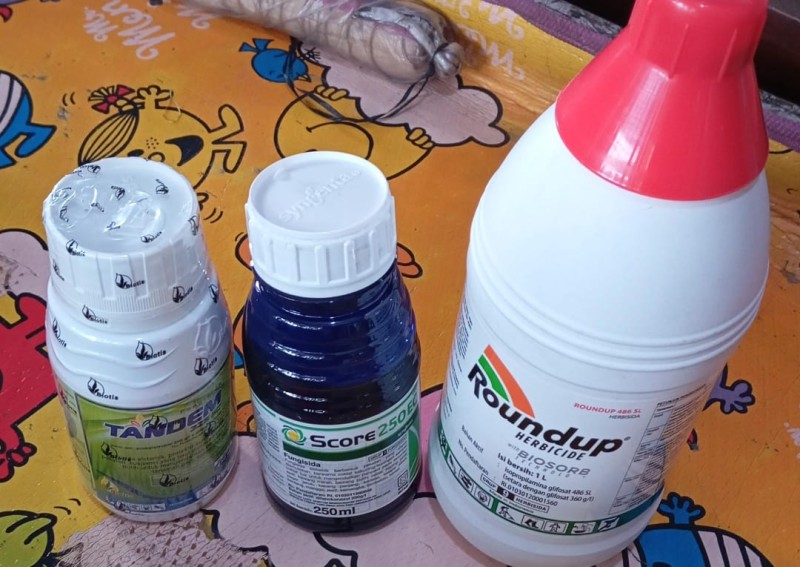 Scor, manco dan tandem