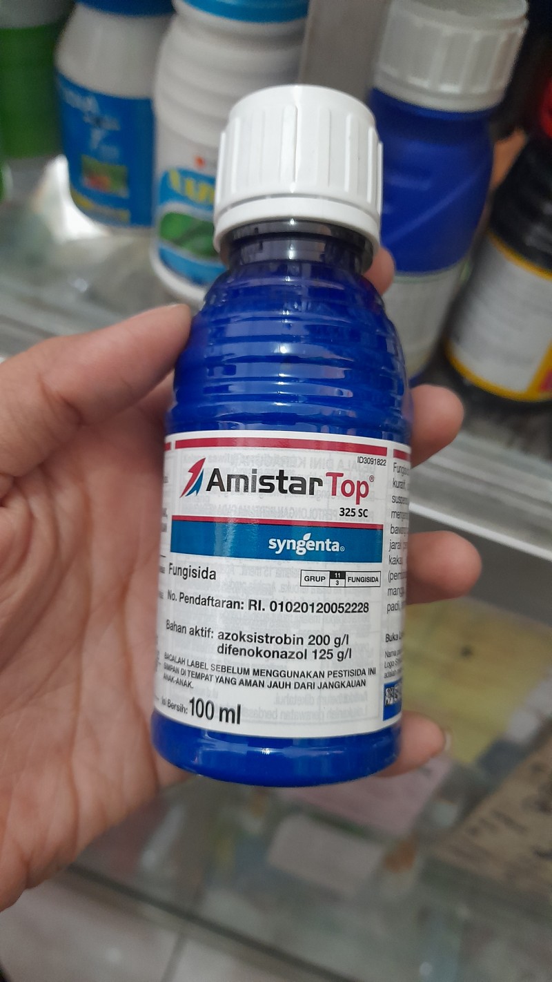 Amistartop