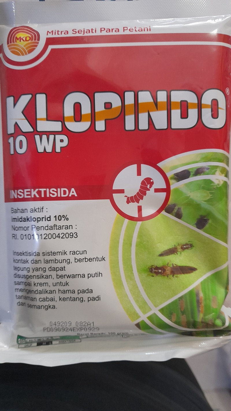 Klopindo