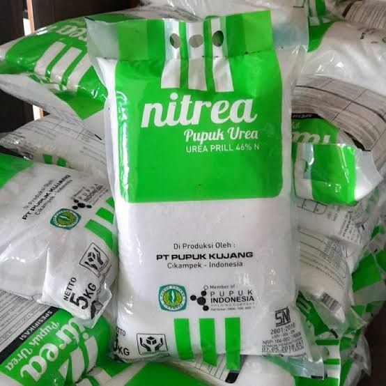 Pupuk urea nitrea
