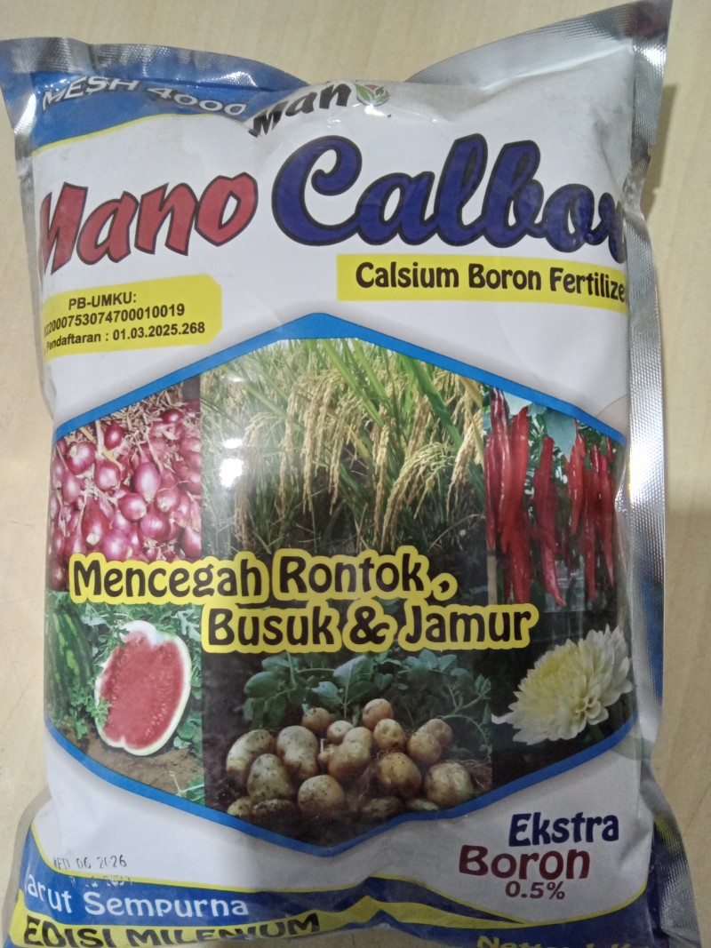 Mano calbor 1kg