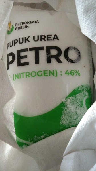 Pupuk urea 5 kg