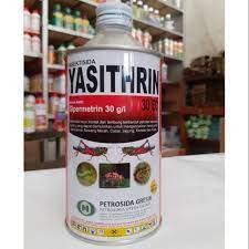 YASTHRIN INTEKSIDA