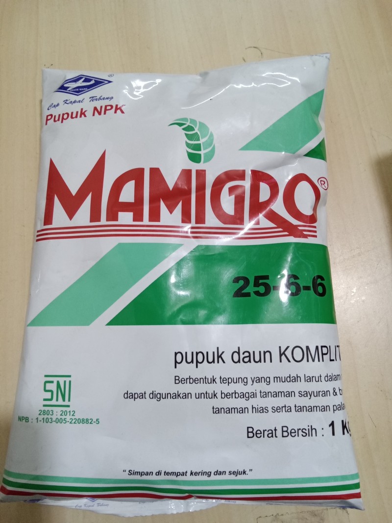 Mamigro hijau