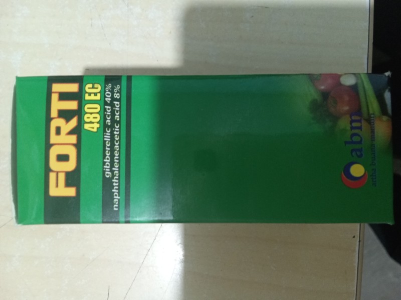 Forti