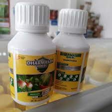 DHARMASAN 100ML