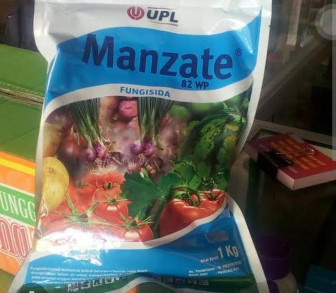 MANZATE