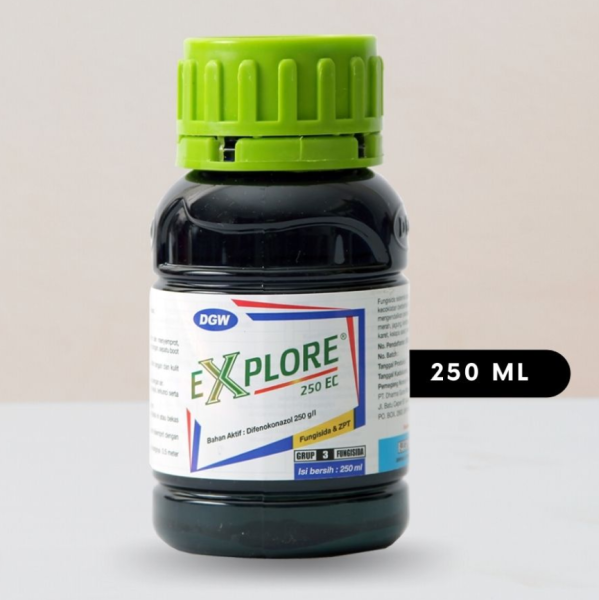 Explore 250ml