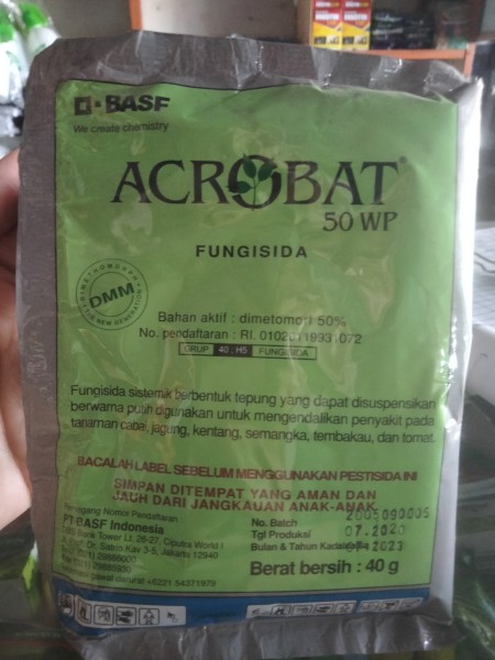 acrobat 100gr