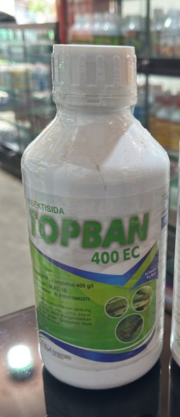 TopBan
