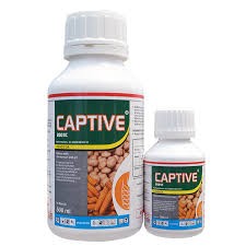 Captive 500 ml