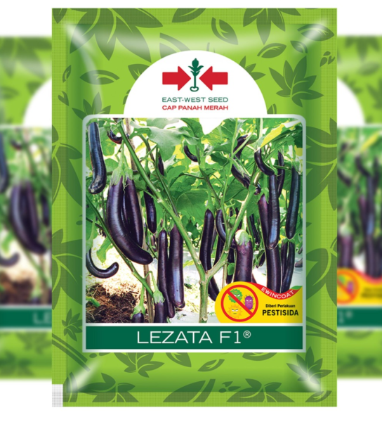 Benih Terong Lezata