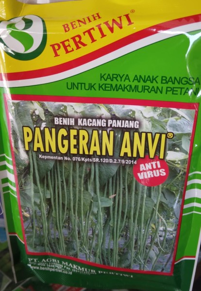 Pertiwi kacang panjang