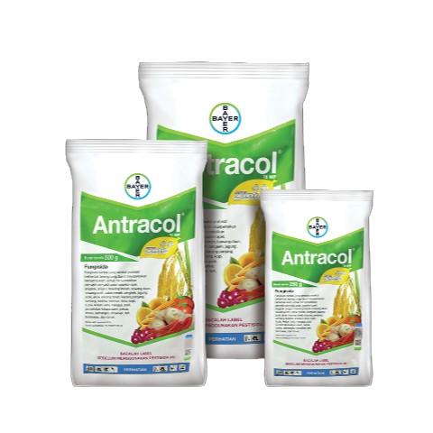 Antracol 500gr