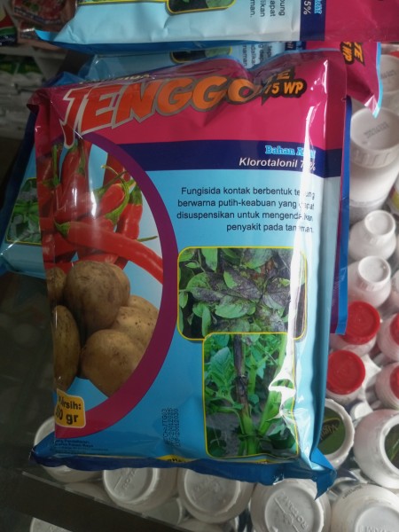 Jenggo 500 gram