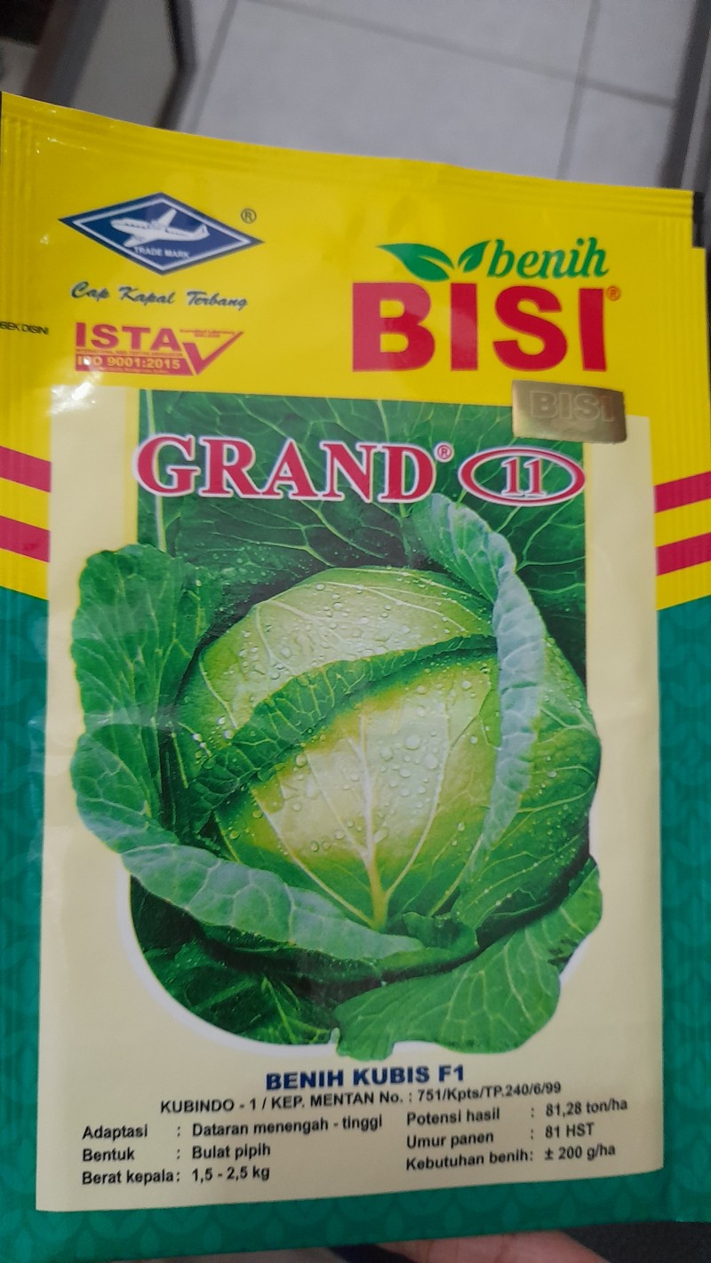 Benih Kubis Grand 11
