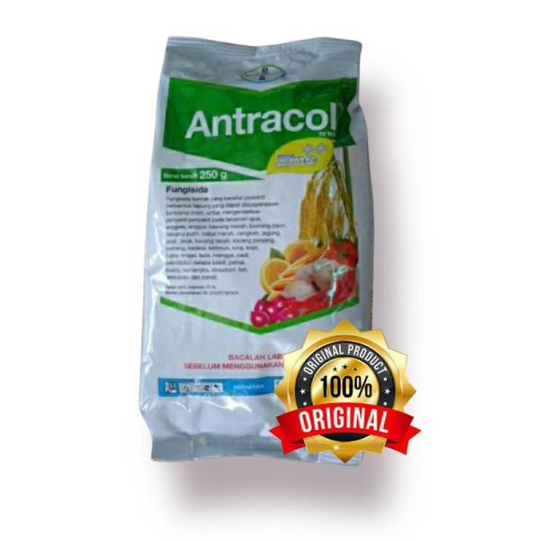 Antracol