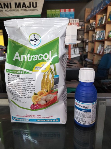 Antracol 500gr