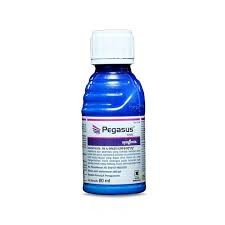 PEGASUS 500sc 80ml