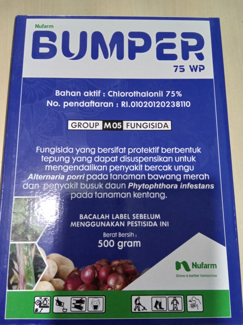 Bumper