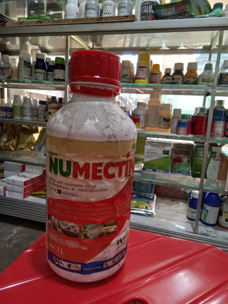 Numectin