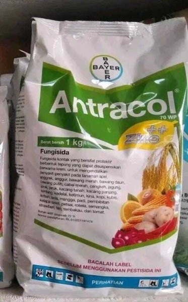 ANTRACOL 1 KG