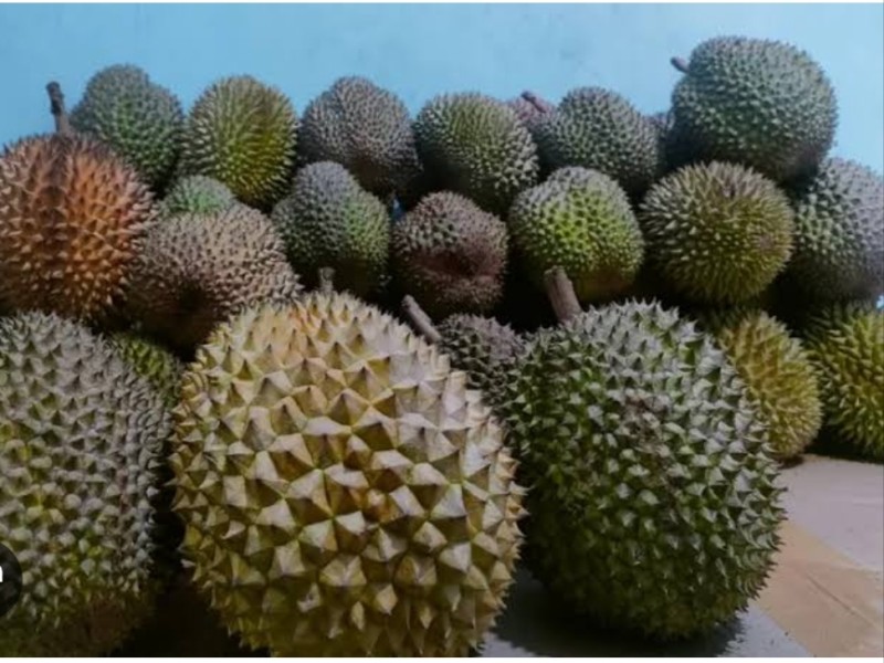Durian Super