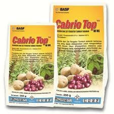 carbio top besar