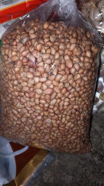 Kacang tanah