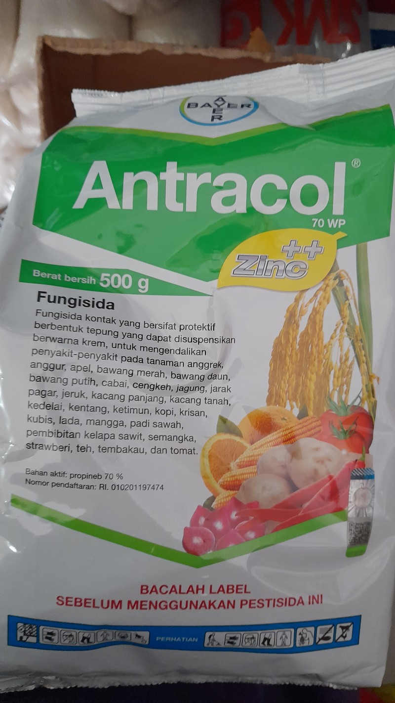 Antracol