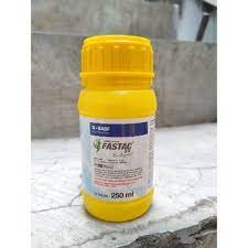 FASTAC 250ML