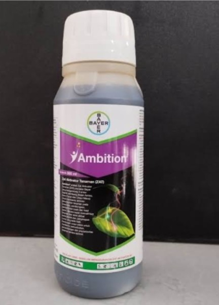 Ambition 500ml