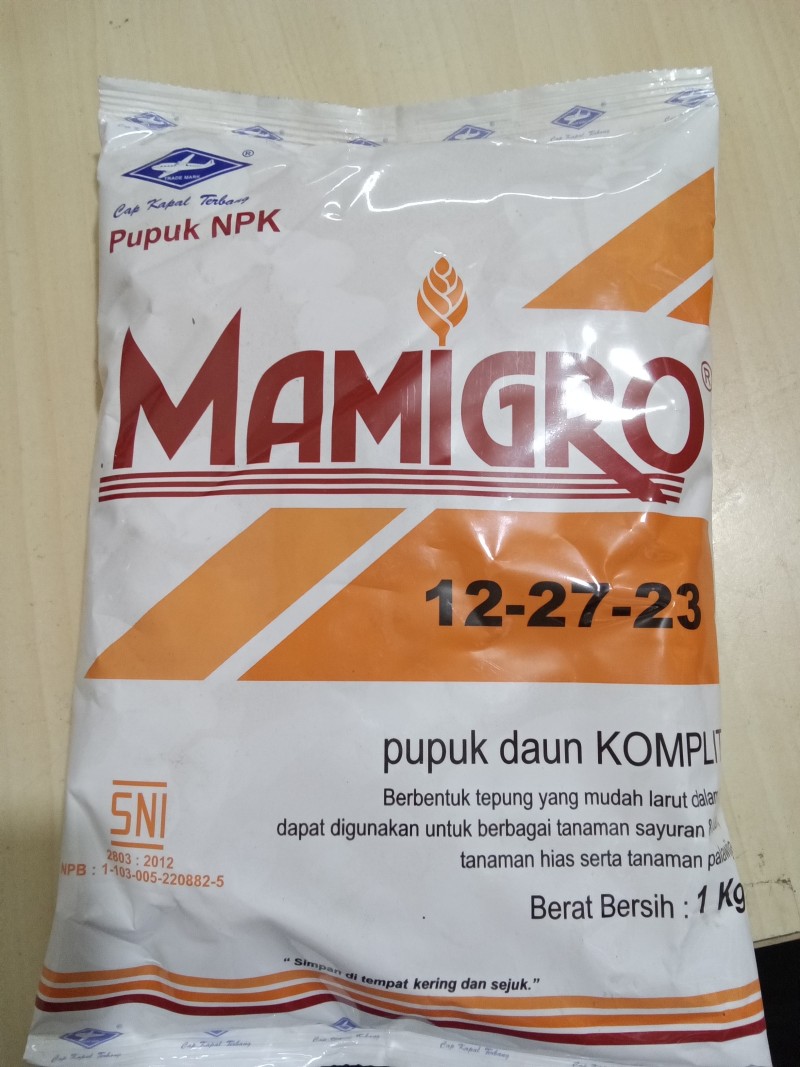 Mamigro merah