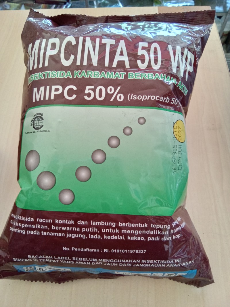 Mipcinta 50wp 500gr
