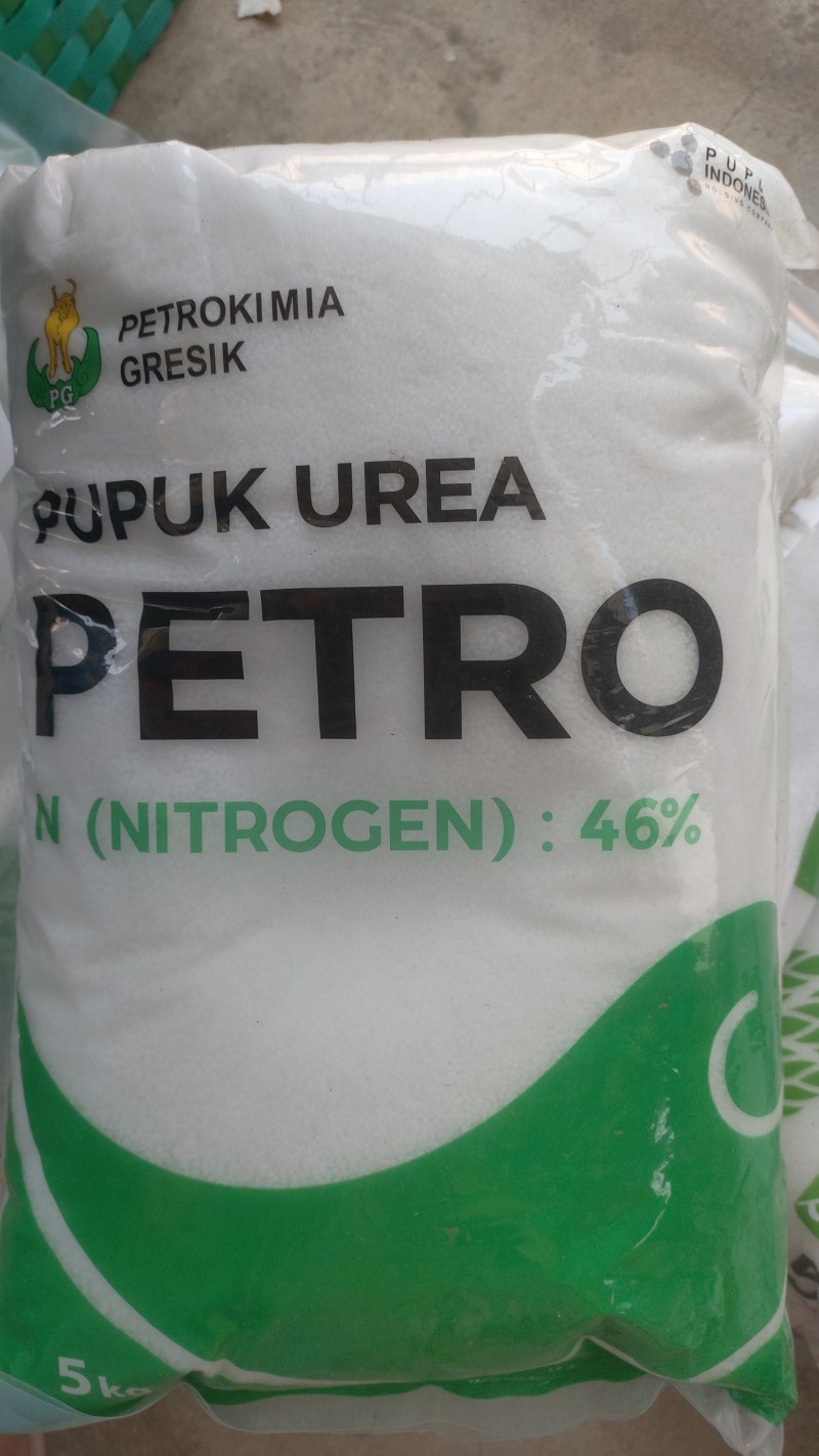 Nitrea pupuk urea