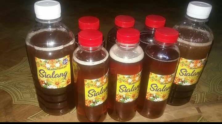 Madu sialang